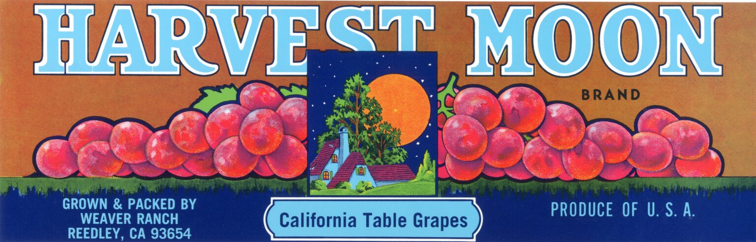 Harvest Moon